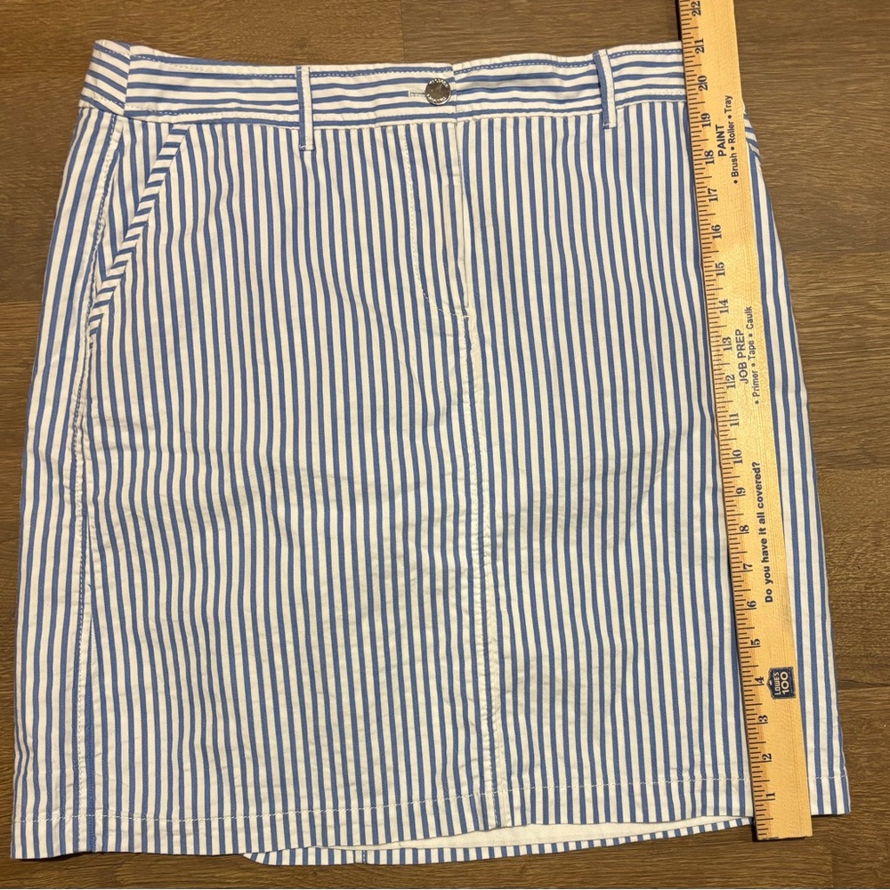 Talbots 14 Petite blue & white striped skirt